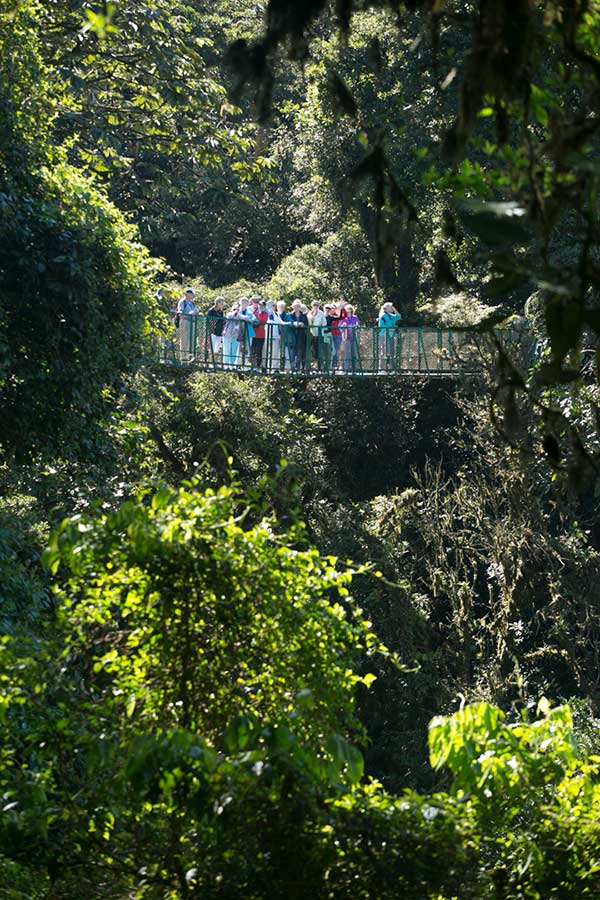 Monteverde Hanging Bridges, Costa Rica
